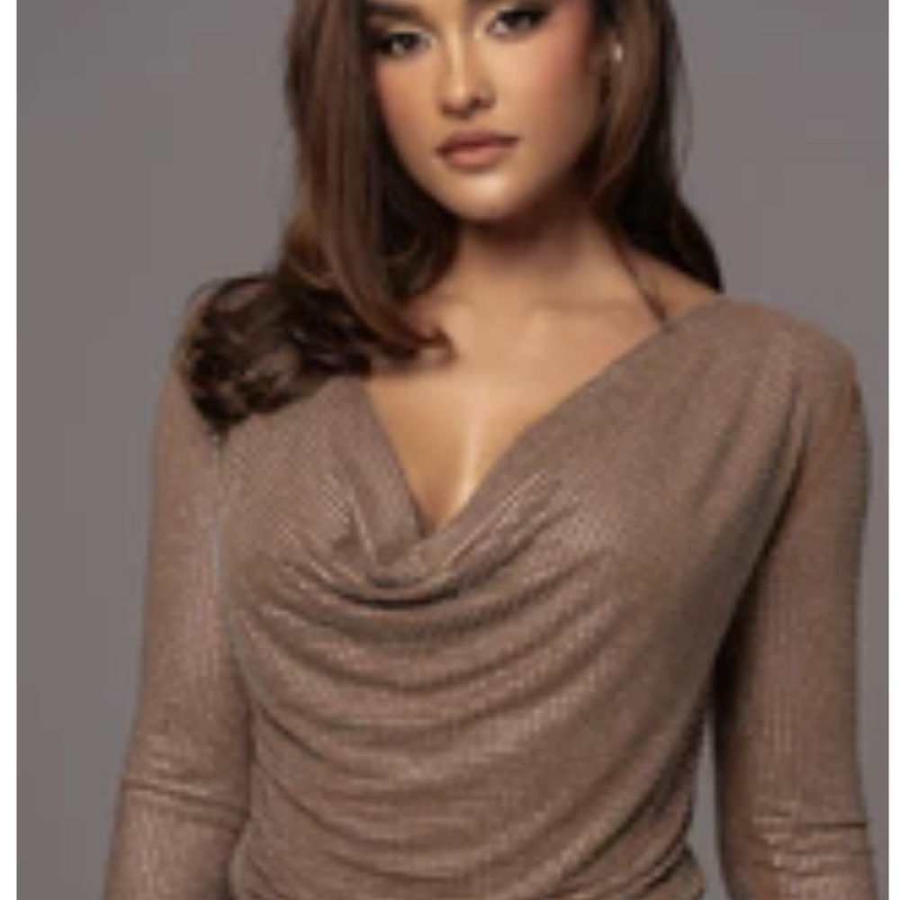 JLUXLABEL Shimmering Brown Blouse